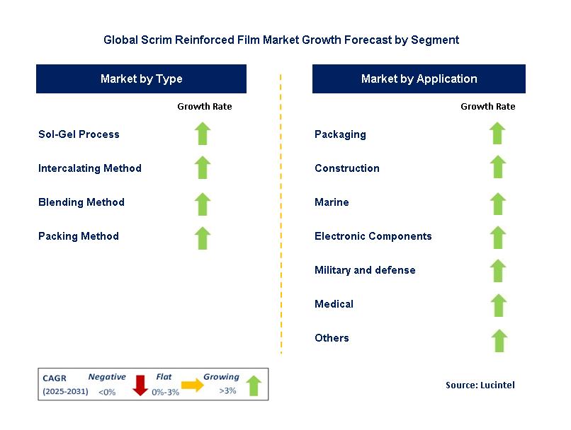 Scrim Reinforced Film Market by Segment