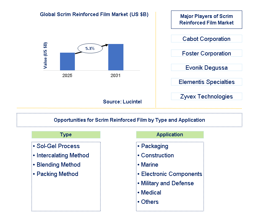 Scrim Reinforced Film Market Trends and Forecast