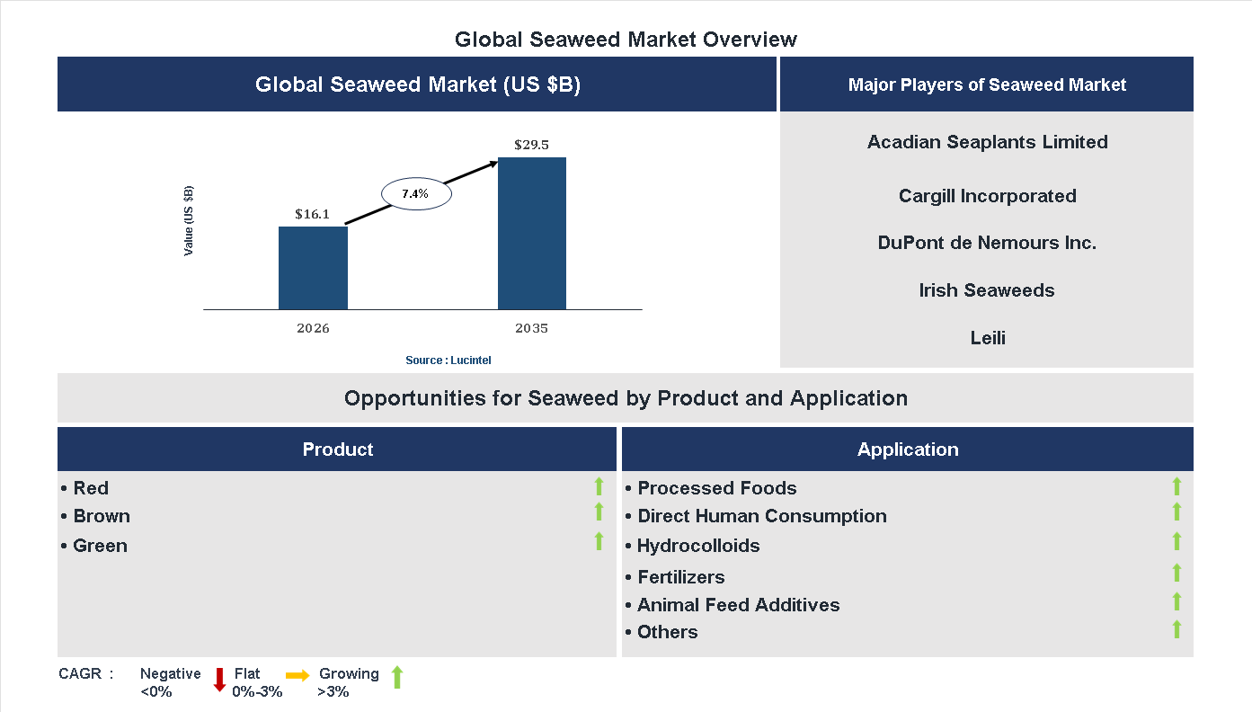 Seaweed Market Trends and Forecast Seaweed Market Trends and Forecast