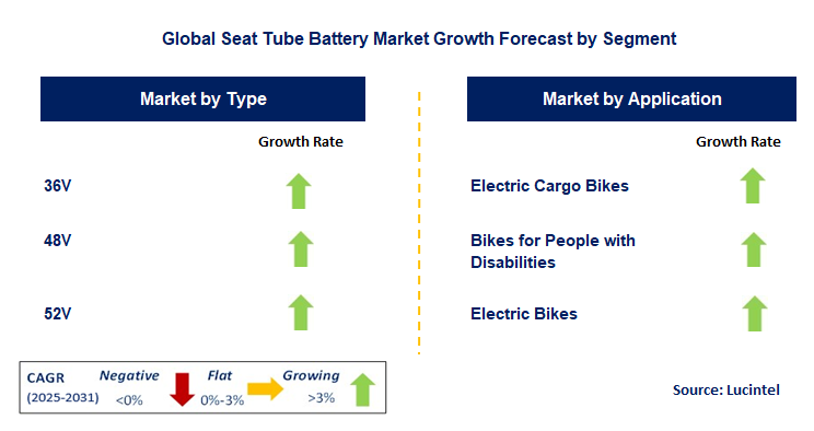 Seat Tube Battery Market by Segment