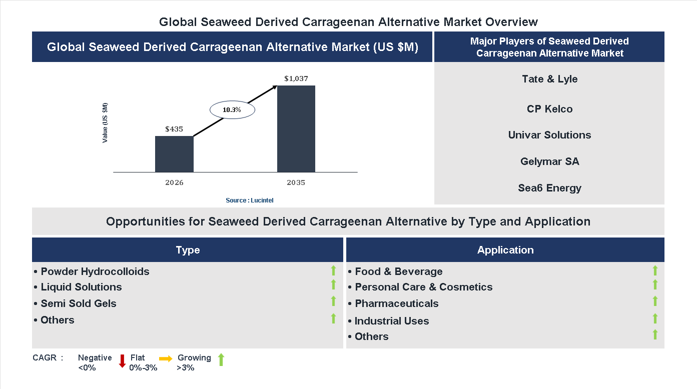 Seaweed Derived Carrageenan Alternative Market Trends and Forecast