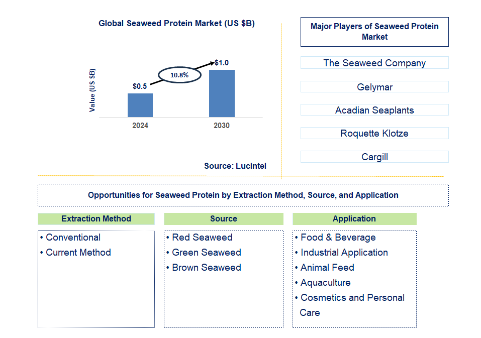 Seaweed Protein Trends and Forecast