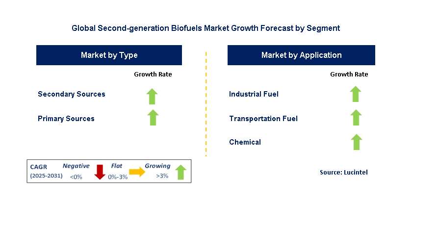 Second-generation Biofuels Market by Segment