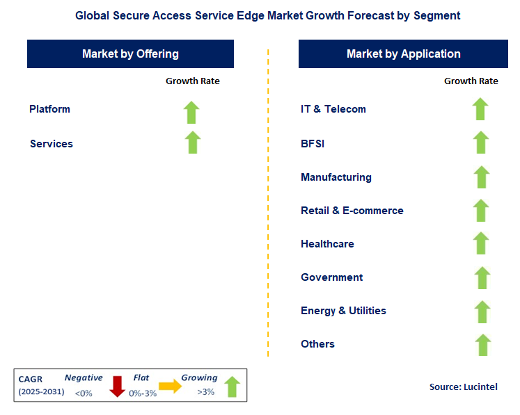 Secure Access Service Edge Market by Segment