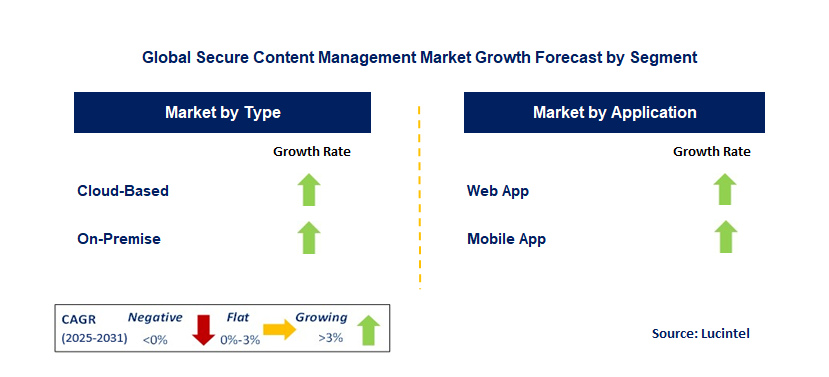 Secure Content Management Market by Segment