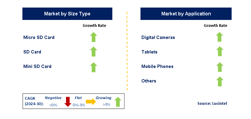 Secure Digital Card by Segment