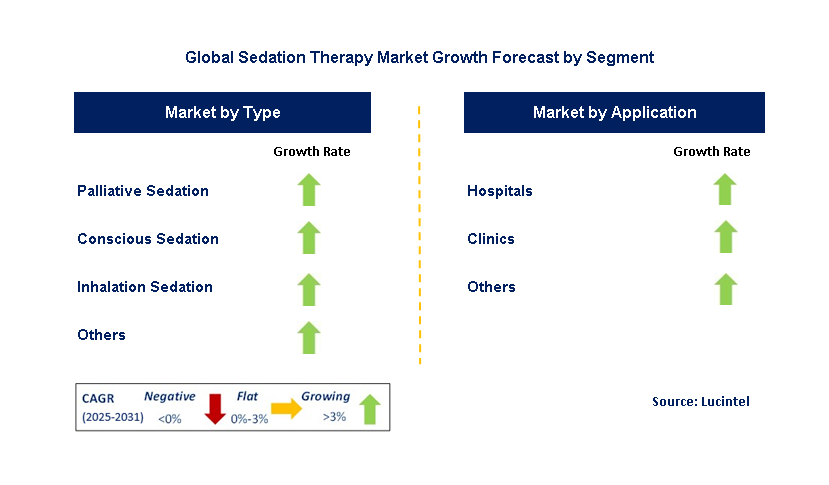 Sedation Therapy Market by Segment