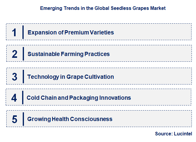 Emerging Trends in the Seedless Grapes Market