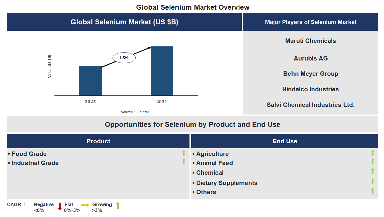 Selenium Market Trends and Forecast