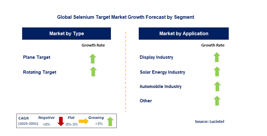 Selenium Target Market by Segment