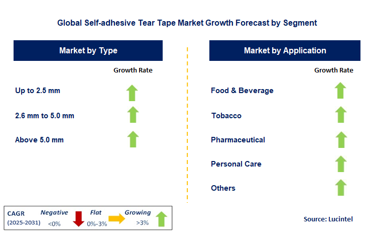 Self-adhesive Tear Tape Market by Segment