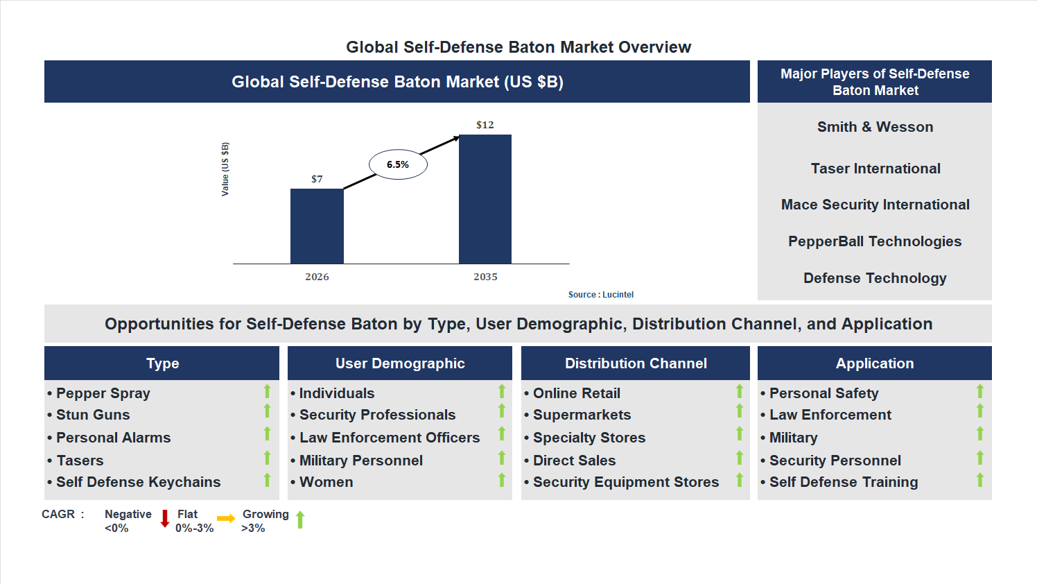Self-Defense Baton Market Trends and Forecast
