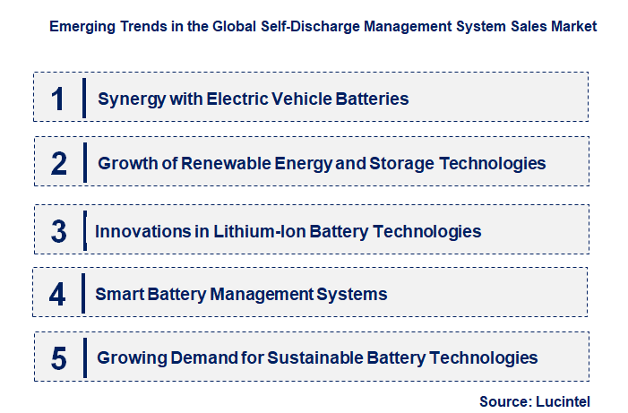 Emerging Trends in the Self-Discharge Management System Sales Market