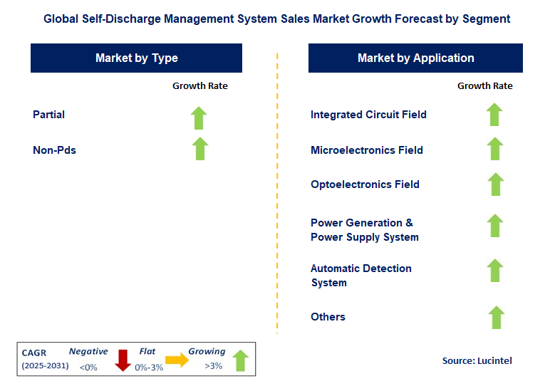 Self-Discharge Management System Sales Market by Segment