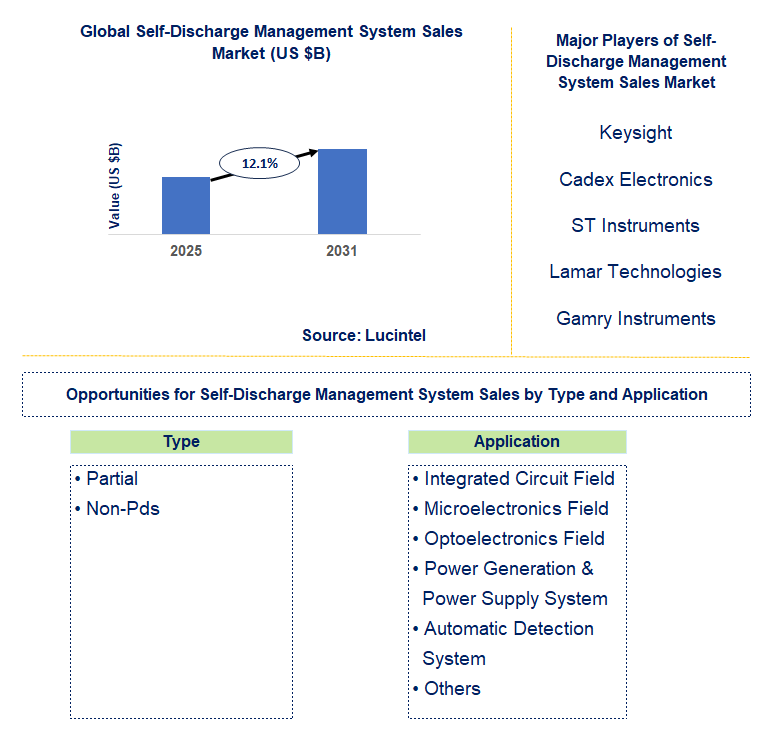 Self-Discharge Management System Sales Market Trends and Forecast