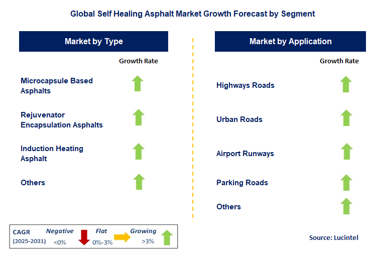 Self Healing Asphalt Market by Segment