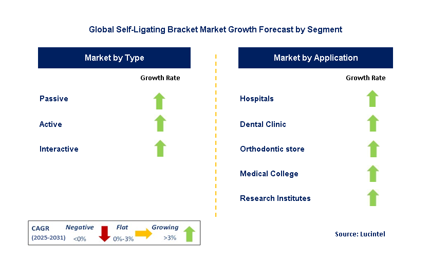 Self-Ligating Bracket Market by Segment