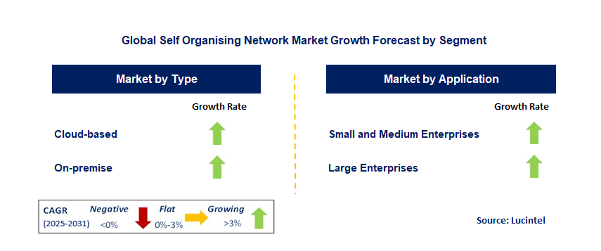 Self Organizing Network Market by Segment