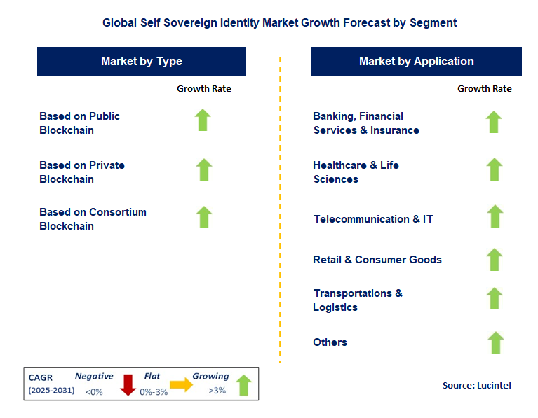 Self Sovereign Identity Market by Segment