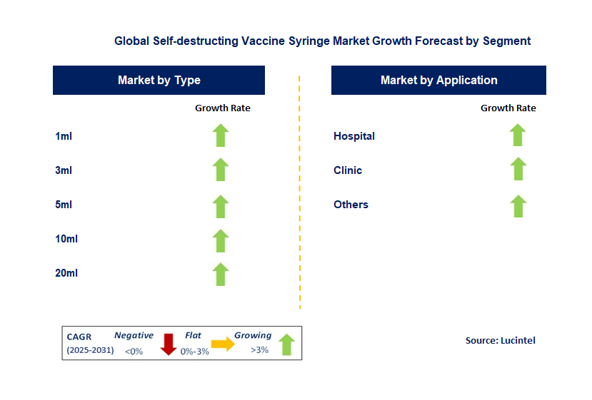 Self-destructing Vaccine Syringe Market by Segment