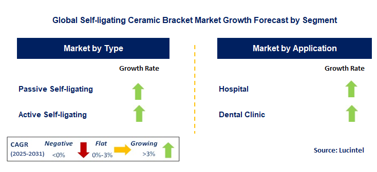 Self-ligating Ceramic Bracket Market by Segment
