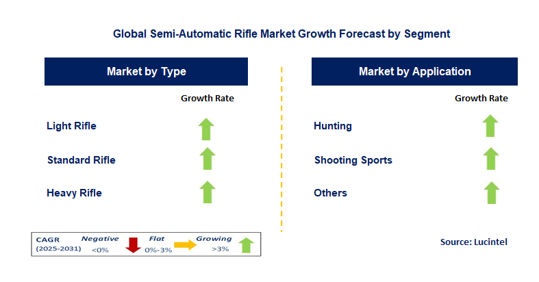 Semi-Automatic Rifle Market by Segment