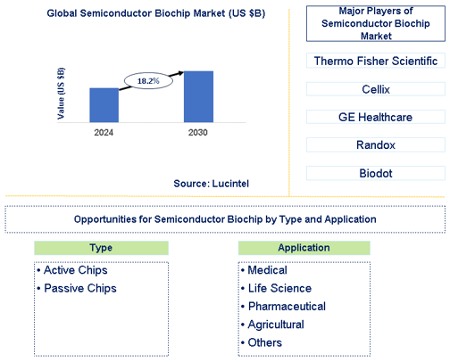 Semiconductor Biochip Market Trends and Forecast