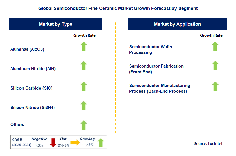 Semiconductor Fine Ceramic Market by Segment