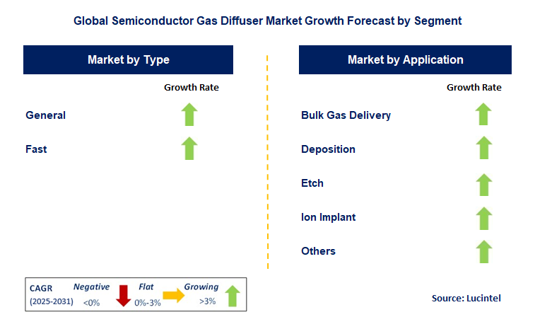 Semiconductor Gas Diffuser Market by Segment