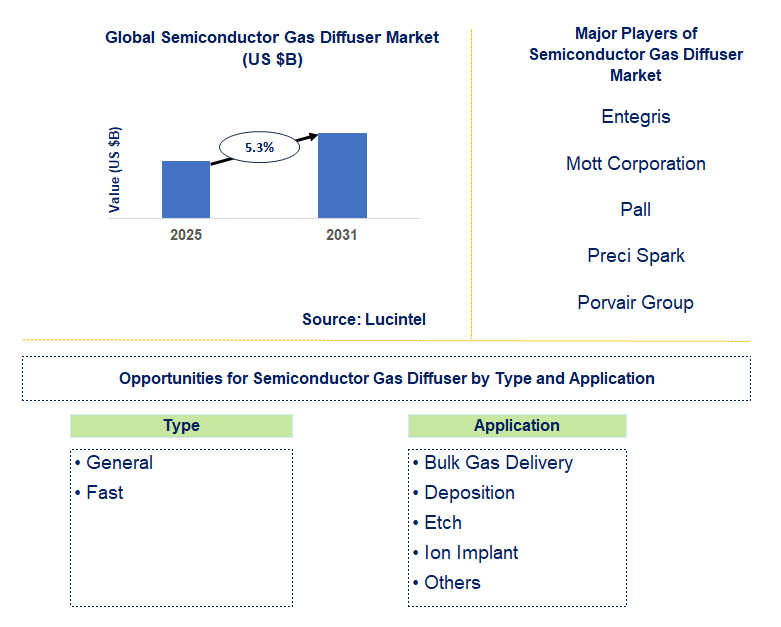 Semiconductor Gas Diffuser Market Trends and Forecast
