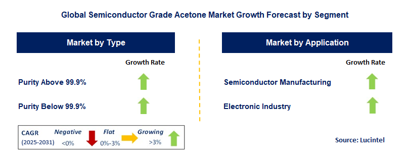 Semiconductor Grade Acetone Market by Segment