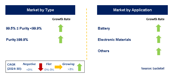 Semiconductor Grade NMP by Segment