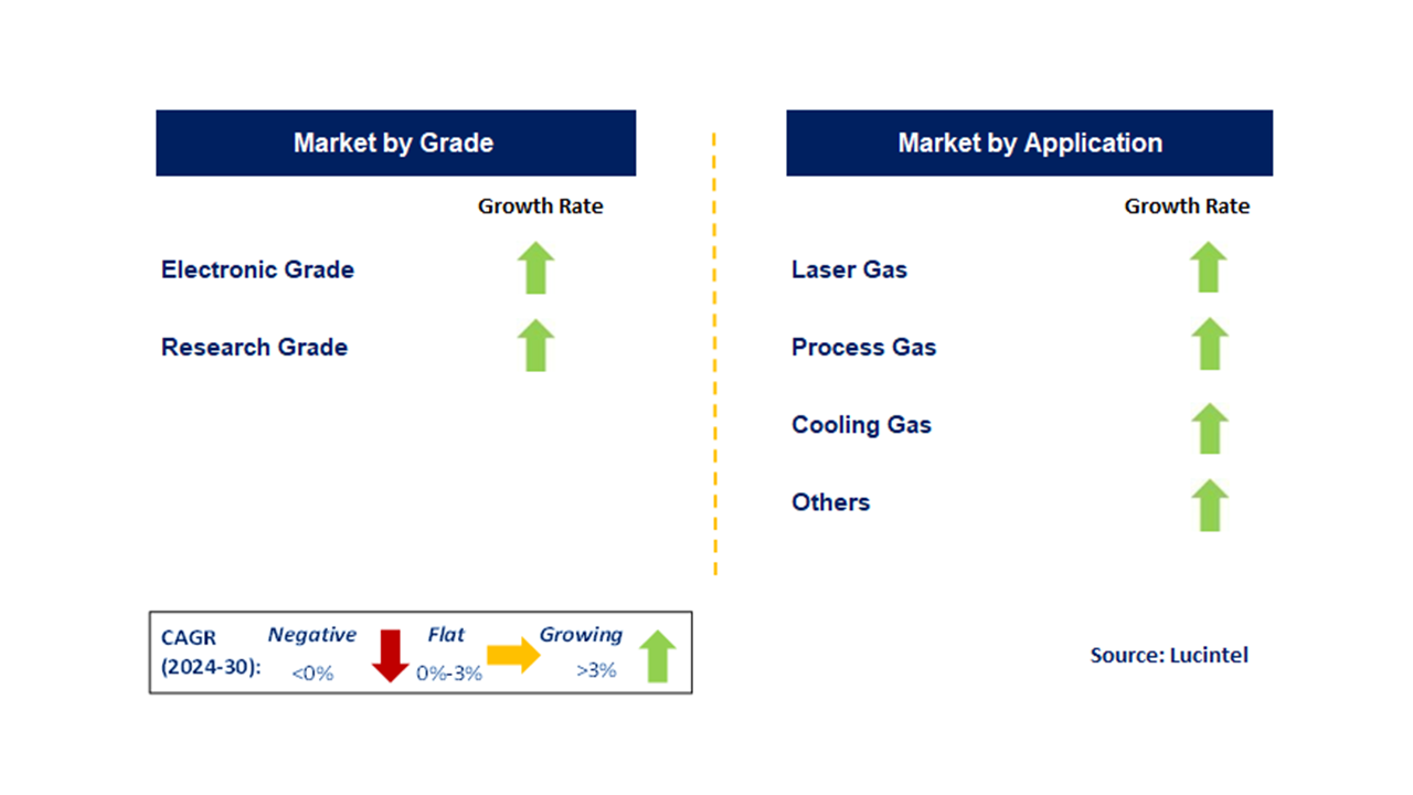 Semiconductor Grade Neon Gas Market  by Segments