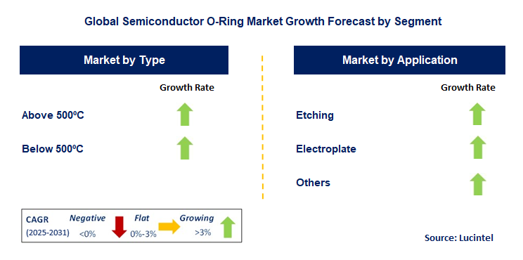 Semiconductor O-Ring Market by Segment