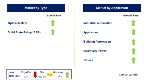 Semiconductor Relay by Segment