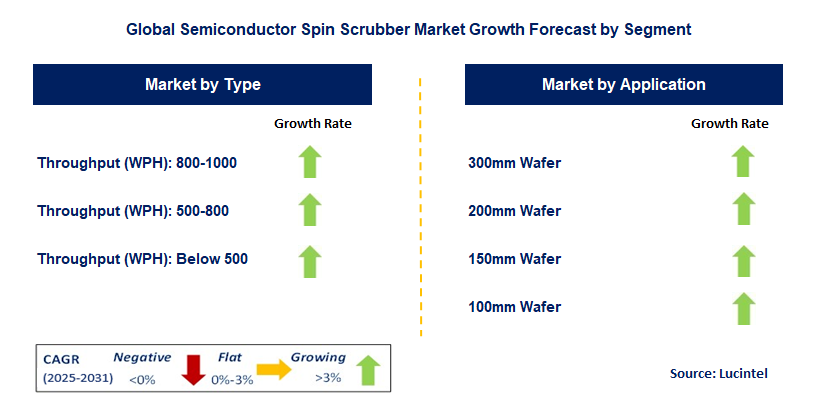 Semiconductor Spin Scrubber Market by Segment