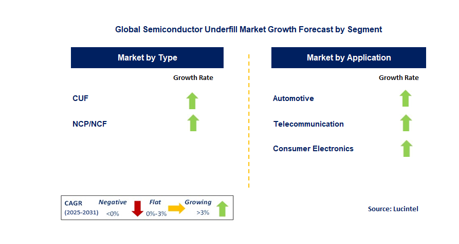 Semiconductor Underfill Market by Segment