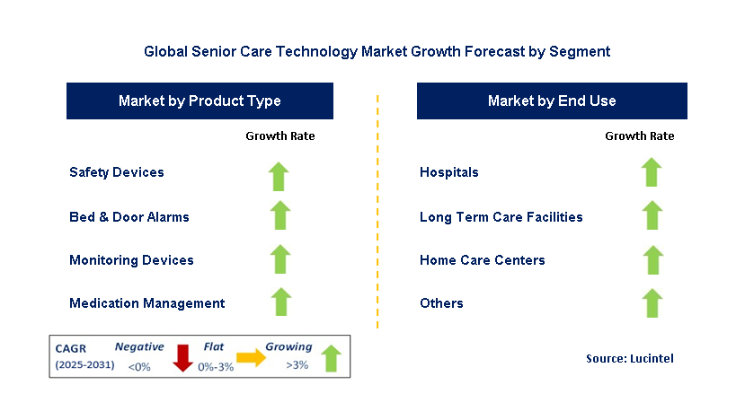 Senior Care Technology Market by Segment