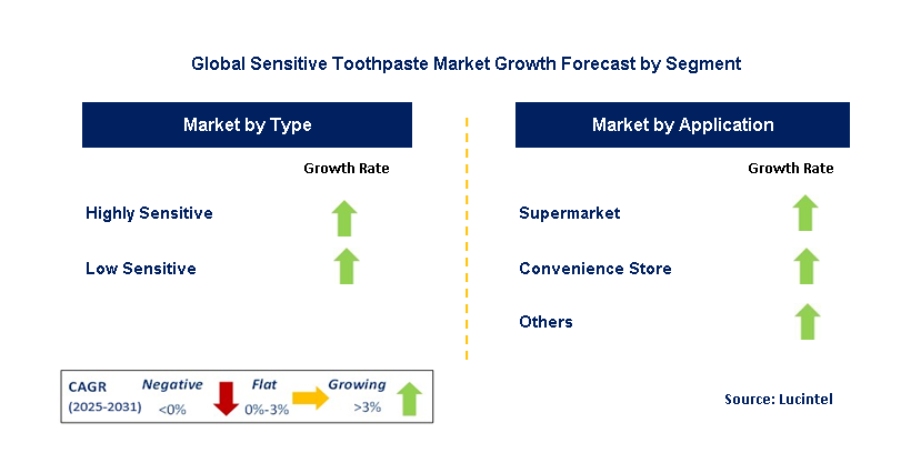Sensitive Toothpaste Market by Segment