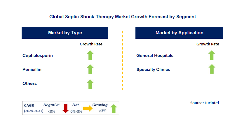 Septic Shock Therapy Market by Segment