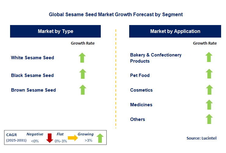 Sesame Seed Market by Segment