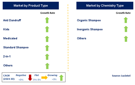 Shampoo Market Segments