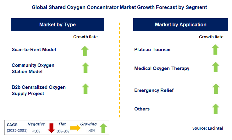 Shared Oxygen Concentrator Market by Segment