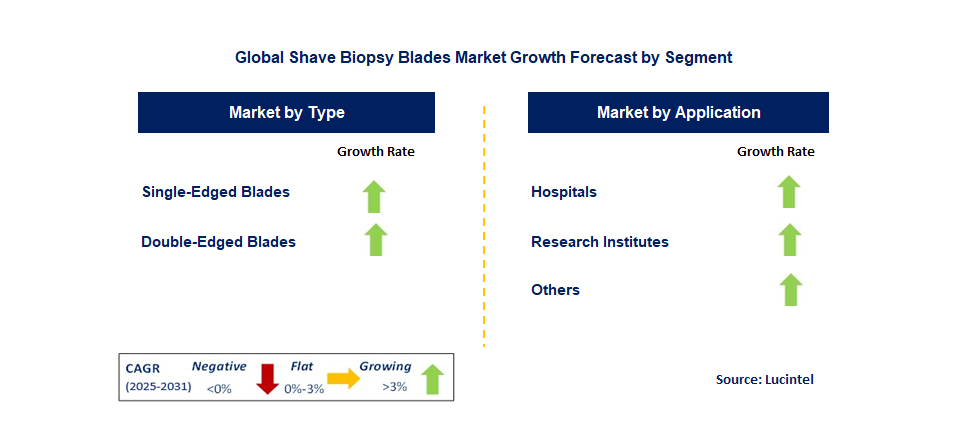 Shave Biopsy Blades Market by Segment