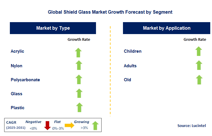 Shield Glass Market by Segment