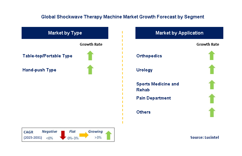 Shockwave Therapy Machine Market by Segment