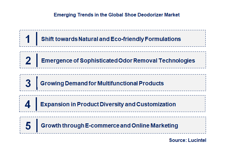 Emerging Trends in the Shoe Deodorizer Market