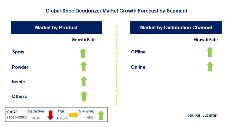 Shoe Deodorizer Market by Segment