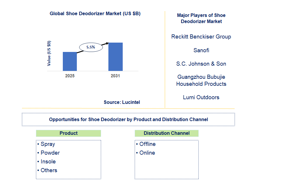 Shoe Deodorizer Market Trends and Forecast