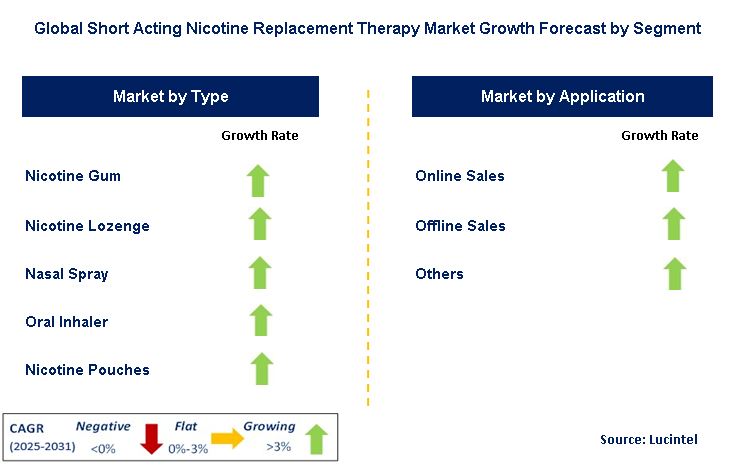 Short Acting Nicotine Replacement Therapy Market by Segment